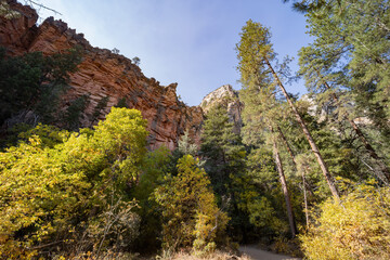 Beautiful fall color around West Fork hiking area