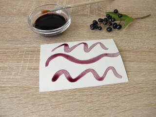 Painting with black violet plant ink made from privet berries