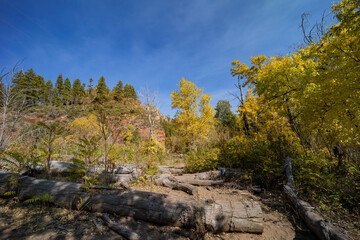 Beautiful fall color around West Fork hiking area