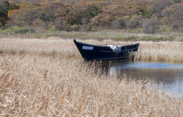 An abandoned boat on a lake surrounded by dry grass 