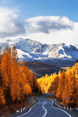 View of the Chui tract, autumn taiga, snow-capped mountain peaks. Altai Republic, Russia