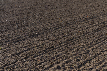 Freshly plowed spring field for planting vegetable seeds.