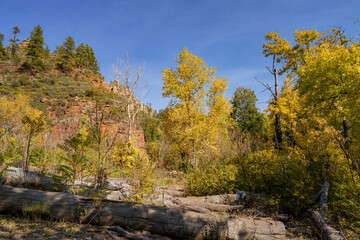 Beautiful fall color around West Fork hiking area