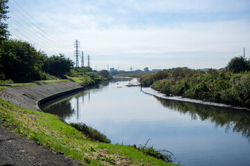 Fototapeta premium 秋の晴れた日の芝川の風景