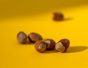 Hazelnuts. Fresh organic filbert