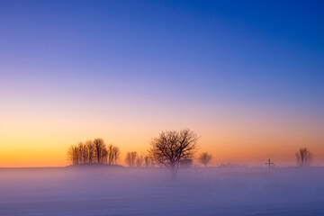 Fototapeta na wymiar Cold winter morning with fog and trees in silhouette