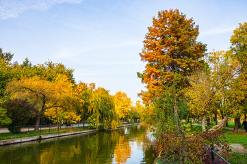 autumn in the park