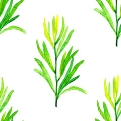 Watercolor seamless pattern with tarragon