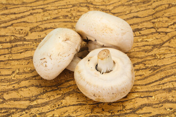 Raw Champignon heap for cooking