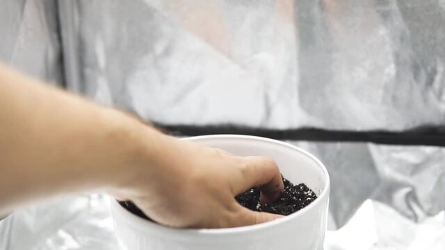 Pot with soil for growing cannabis. A mixture of earth, perlite and vermiculite. Close up Substrate for marijuana. The concept of growing medical cannabis in the doore indoor.