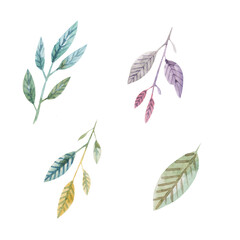 Collection of watercolor cute pastel twigs. For your design of cards, scrapbooking, poster.