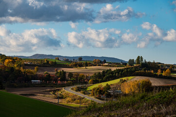10月終盤の美瑛田園風景
