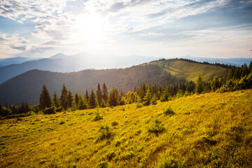 Magnificent sunny day in tranquil mountain landscape. Perfect summertime wallpaper.