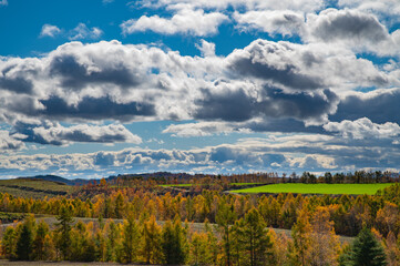10月終盤の美瑛の紅葉遠景