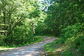 Fototapeta premium Landschaft im Shenandoah National Park, Virginia