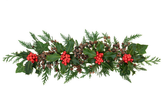 Christmas decorative display with winter berry holly, cedar cypress, ivy & pine cones forming a natural element for the festive season & New Year on white background. Flat lay, top view, copy space.