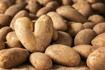 Pile of raw potatoes and one heart-shaped potato
