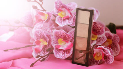 Palette of shadows and pink orchid