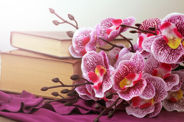 Pink orchid and old books