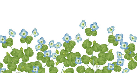 オオイヌノフグリの水彩画