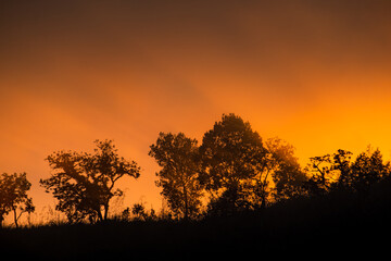 Fototapeta na wymiar Mountain and Trees and orange sky Silhouette scene
