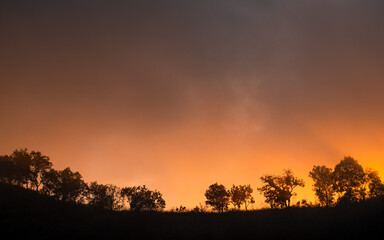Mountain and Trees and orange sky Silhouette scene