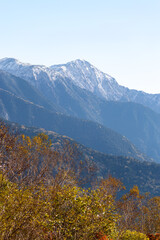 紅葉と聖岳　冠雪した南アルプス　しらびそ高原からの眺め