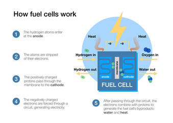 How fuel cells work to produce electricity from hydrogen and air