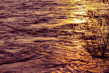 Reflections of the sun on the rippling colorful waters of the Piave River at sunset. A sapling emerges from the water Santa Giustina, Belluno, Italy