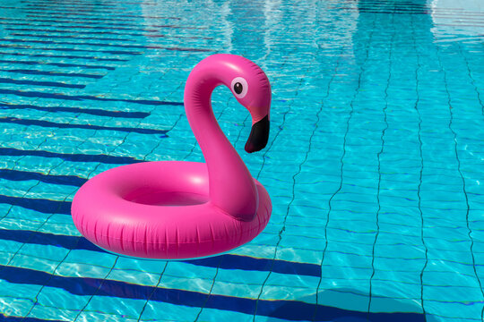 Summer concept background. Pink inflatable flamingo in pool water for summer beach background. Pool float party.