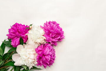 Pink and white peonies on white background. Top view, copy space