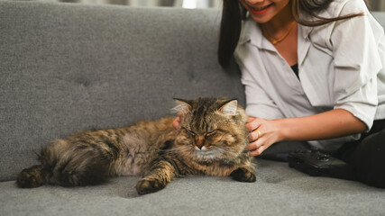 Young woman is resting with a cat on couch in living room.