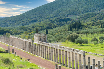 Ruins of the Palestra in the Ancient Messene archeological site, Peloponnese, Greece. One of the best preserved ancient cities in Greece
