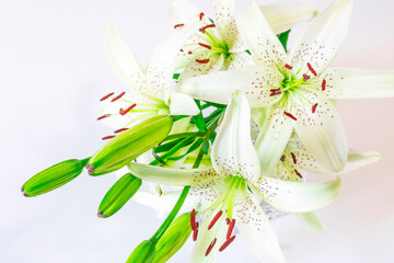 A bouquet of white Lily flowers on a white background. Holiday bouquet