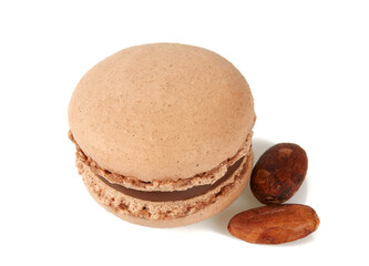 cocoa macaroon isolated on white