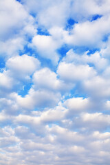 Naklejka na ściany i meble White cumulus clouds on blue sky background close up, fluffy cirrus cloud texture, beautiful cloudscape view, heaven on sunny summer day, cloudy weather, cloudiness backdrop, azure skies, ozone layer
