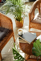 Warm and soft apartment in daytime and coffee cup with book on table around bamboo chairs and plants.