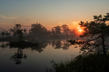 Naklejka premium sunrise in a swamp in Estonia