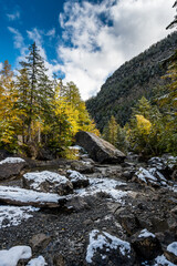 Fototapeta na wymiar pristine mountain creek at Derborence in autumn in Valais