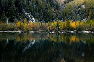 Fototapeta na wymiar reflection of autumn forest at Lac de Derborence in Valais