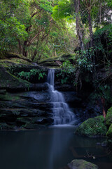 Lilly Pilly waterfall after rain at Lane Cove, Sydney, Australia.
