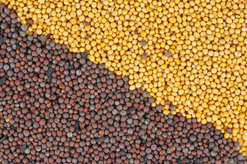 Food background: dried seed yellow and brown mustard