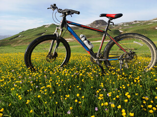Naklejka na ściany i meble In the mountains, green meadows and a bike, yellow flowers, blue sky 