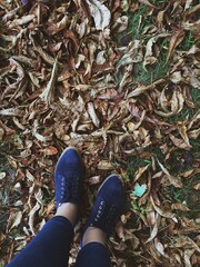 Processed with VSCO with m3 preset