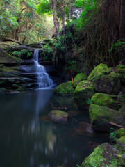 Mossy rocks around the waterfall at Lane Cove, Sydney, Australia.