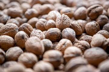 Pile of walnuts in natural light