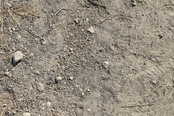 Fine brown sand dirt background