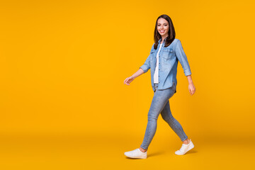 Full length profile photo of attractive cheerful lady good mood walking down street nice day...