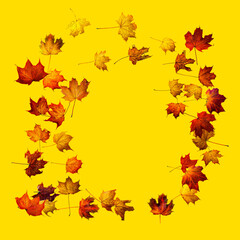 Colorful autumn leaves isolated on yellow background. Border frame of maple leaves.