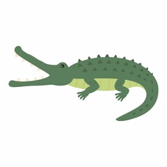 Funny crocodile. Vector illustration isolated on white background.